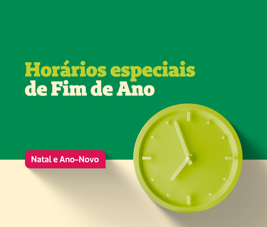 Programe-se para as festas de fim de ano