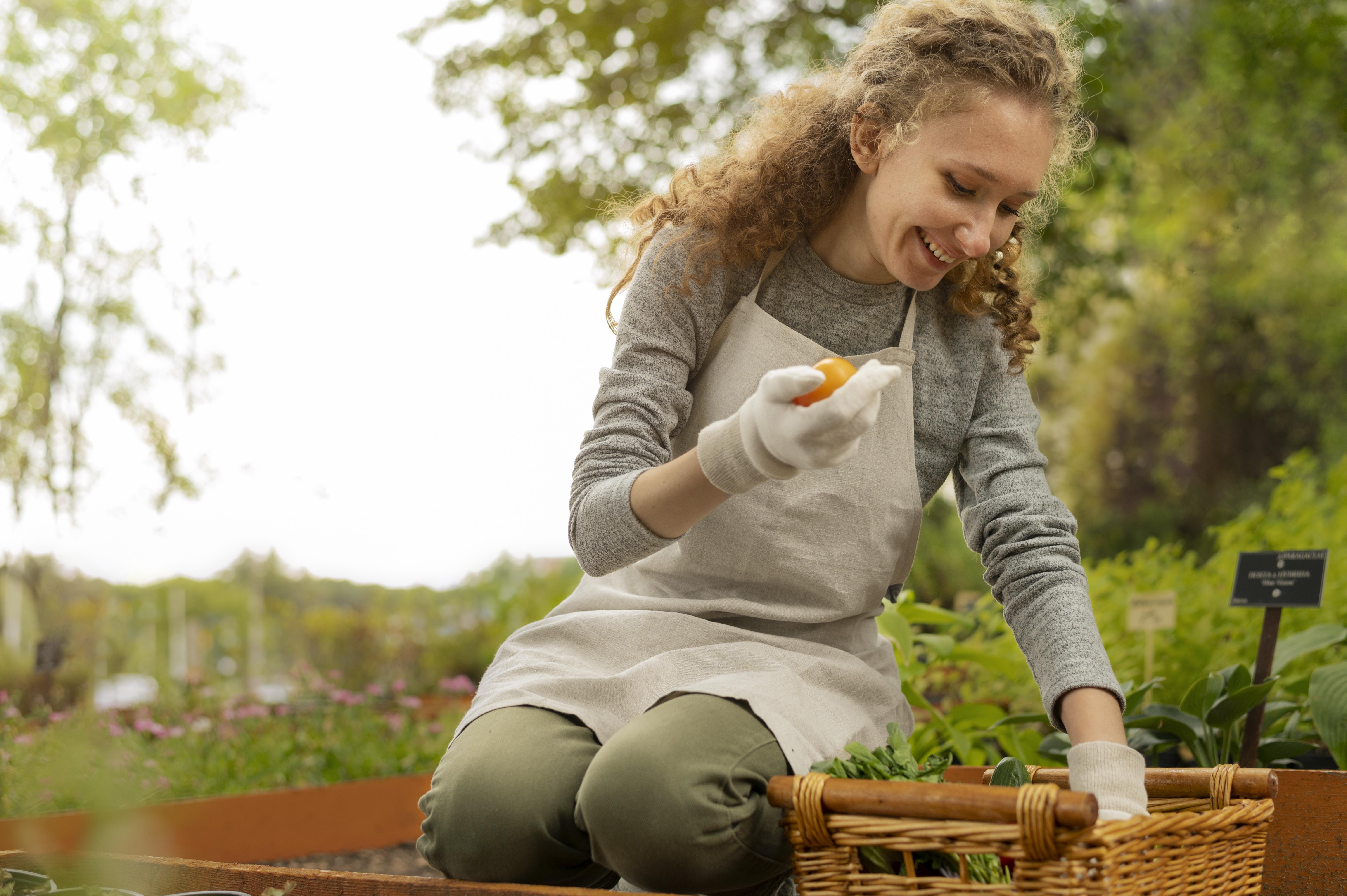 Saúde e sabor sempre à mão: aprenda a cultivar temperos naturais em casa